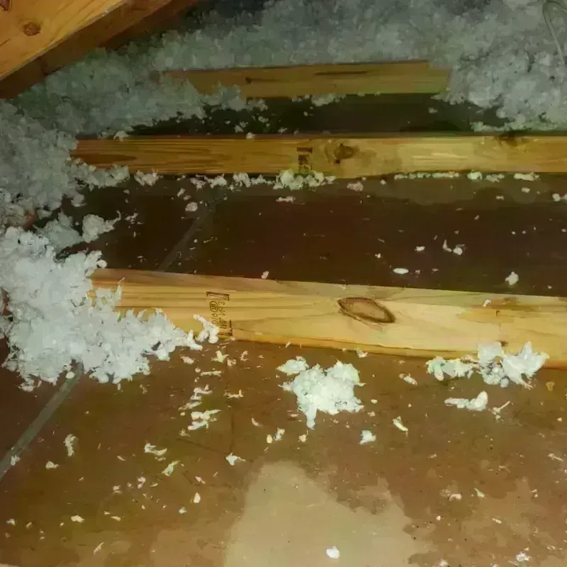 Attic Water Damage in Prince George, VA